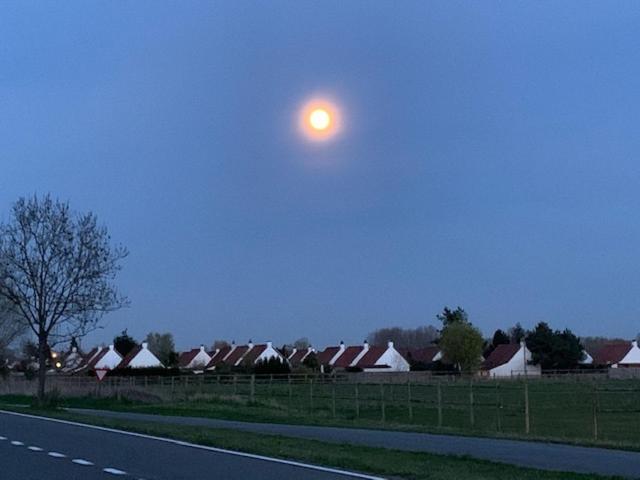 Duinendaele 232 Met Sauna Bij Plopsaland En Natuurreservaat Vila De Panne Exterior foto