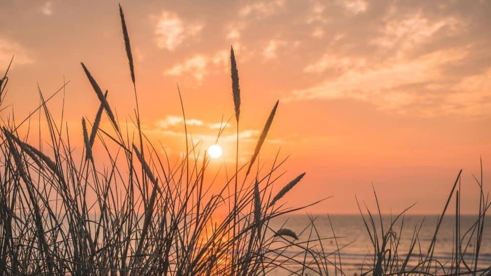 Duinendaele 232 Met Sauna Bij Plopsaland En Natuurreservaat Vila De Panne Exterior foto